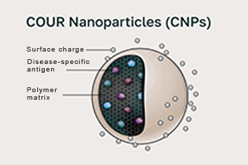 Illustration of COUR CNP composition 