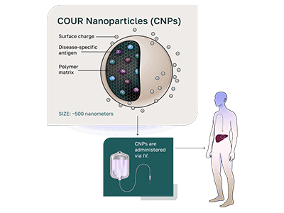 COUR Nanoparticle Platform
