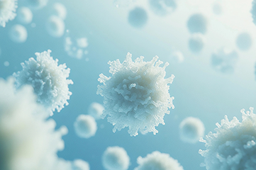 T Cells